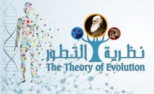Human evolution - التطور